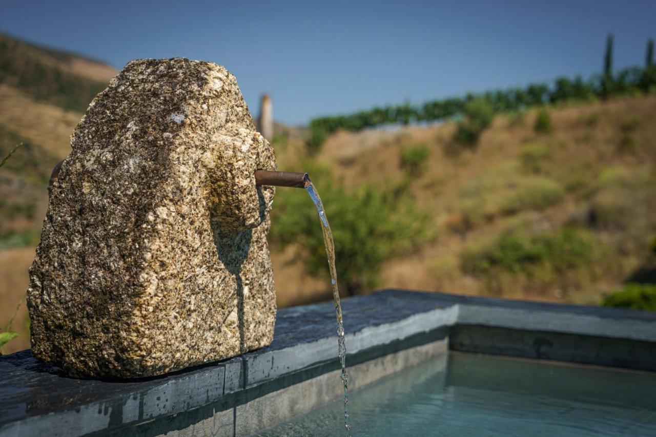 Casa Do Rio - Douro Wine Hotel By Vallado Вила-Нова-ди-Фош-Коа Экстерьер фото