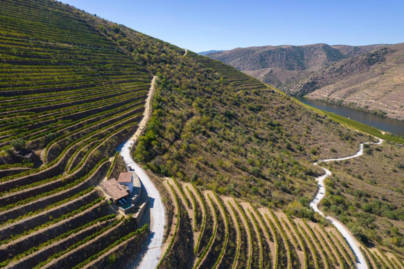 Casa Do Rio - Douro Wine Hotel By Vallado Вила-Нова-ди-Фош-Коа Экстерьер фото
