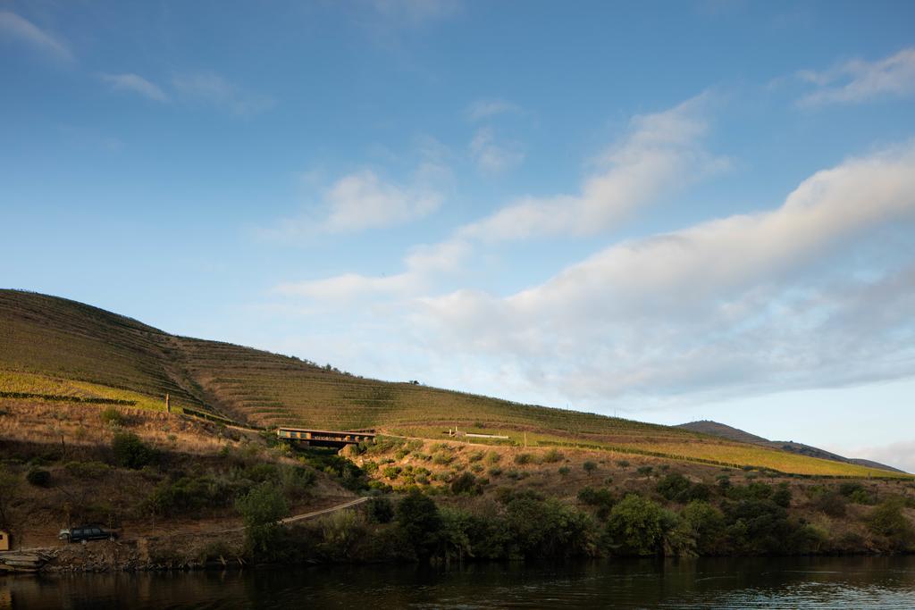 Casa Do Rio - Douro Wine Hotel By Vallado Вила-Нова-ди-Фош-Коа Экстерьер фото