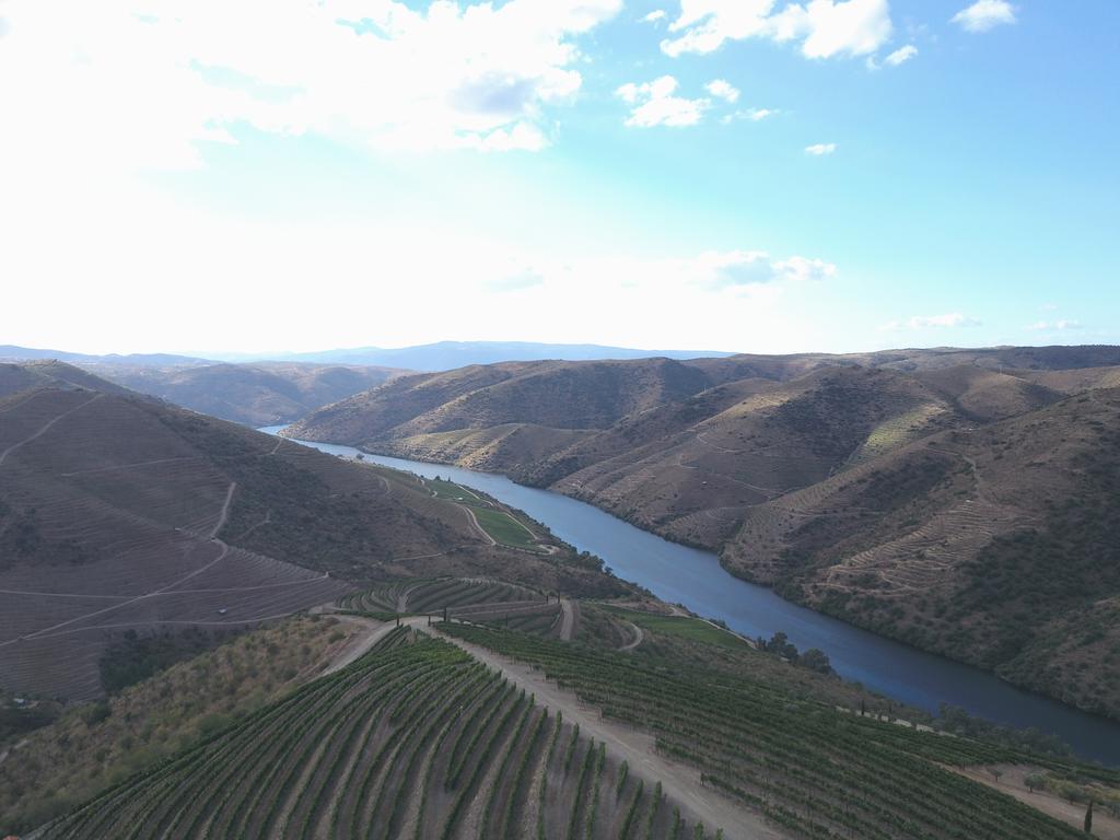 Casa Do Rio - Douro Wine Hotel By Vallado Вила-Нова-ди-Фош-Коа Экстерьер фото