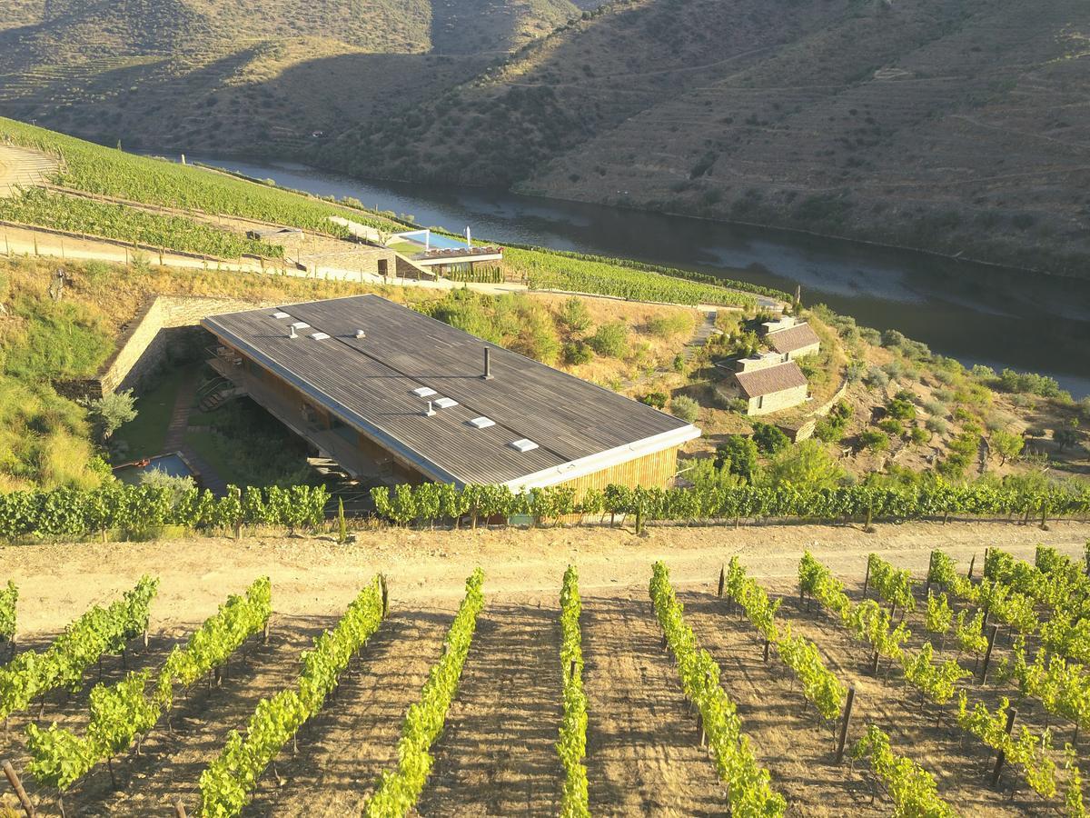 Casa Do Rio - Douro Wine Hotel By Vallado Вила-Нова-ди-Фош-Коа Экстерьер фото