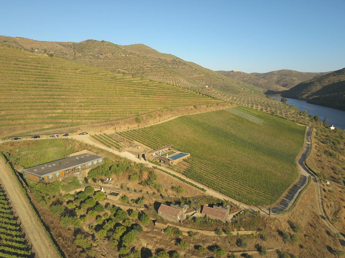 Casa Do Rio - Douro Wine Hotel By Vallado Вила-Нова-ди-Фош-Коа Экстерьер фото