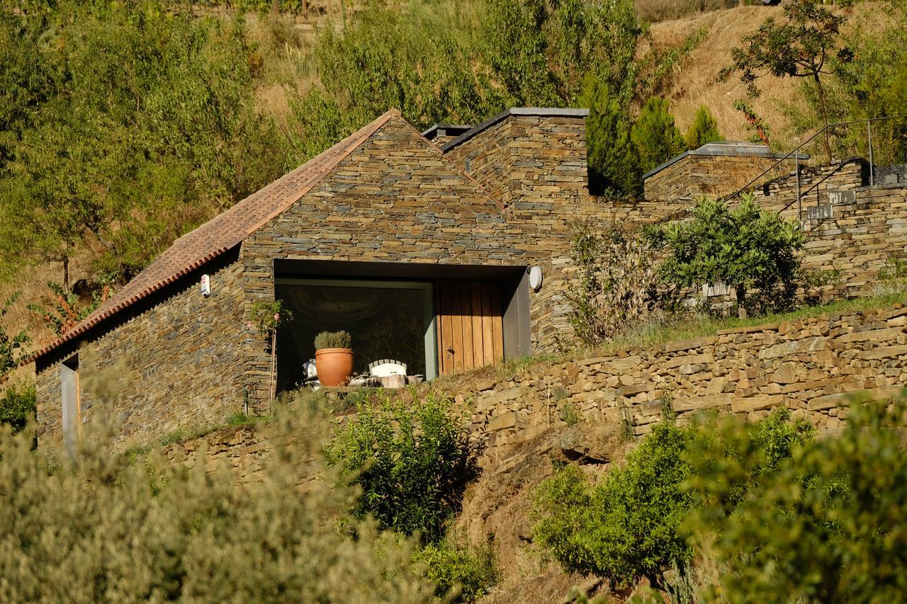 Casa Do Rio - Douro Wine Hotel By Vallado Вила-Нова-ди-Фош-Коа Экстерьер фото